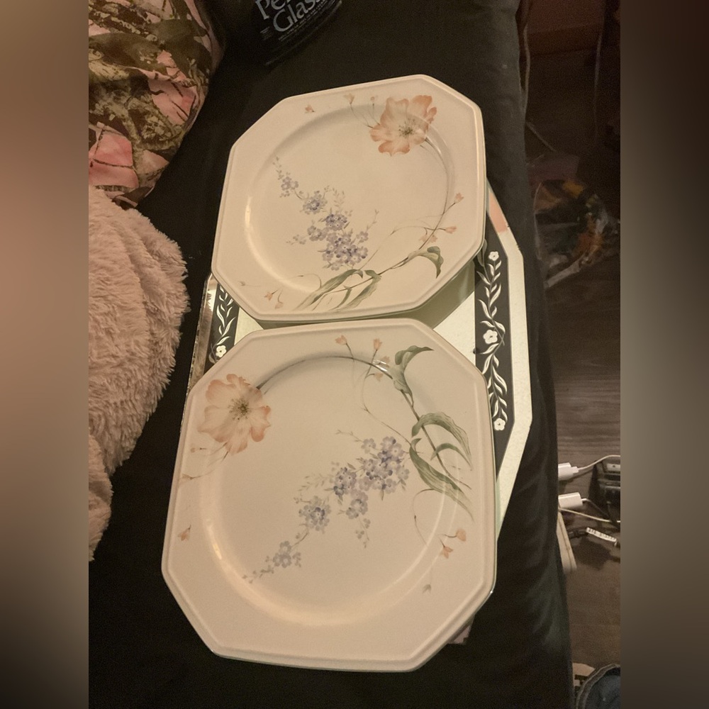 Set of 2 Mikasa Continental Amsterdam F3102 Dinner Plates 10-3/8”